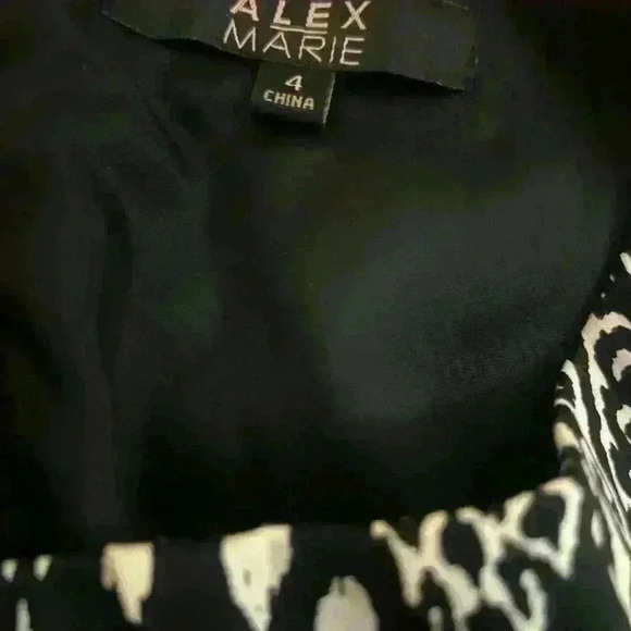 Alex Marie Size 4 Black/White Career Sleeveless Textured Lined Sheath Dress - Picture 6 of 6